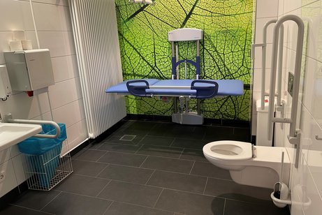 Eine Pflegetoilette mit Liege, Lift und Toilette