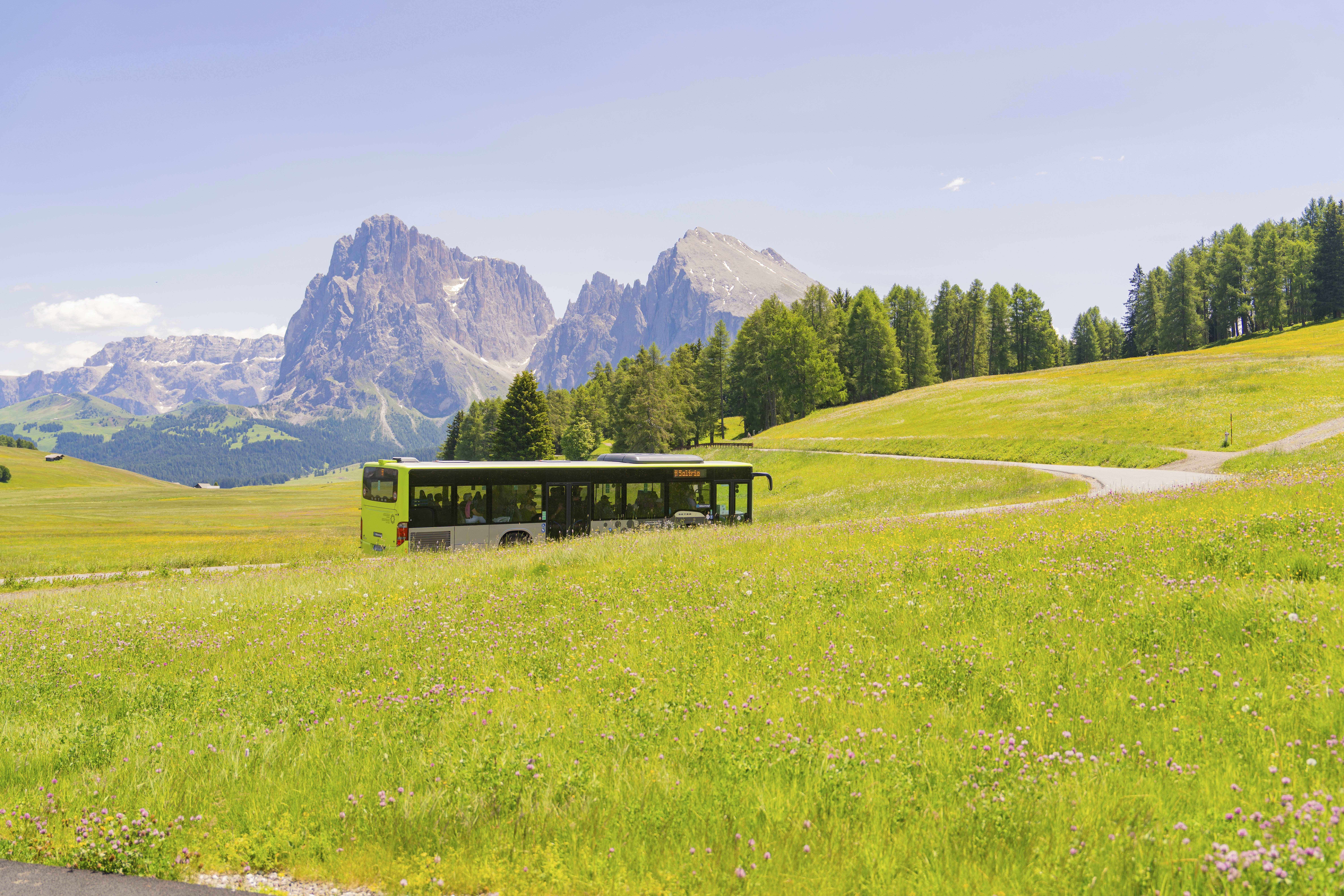 Ein gr&uuml;ner Bus durchquert die Wiesenlandschaft mit Bergen im Hintergrund.