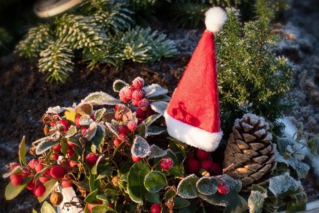 Wir basteln Weihnachtsgem&uuml;tlichkeit