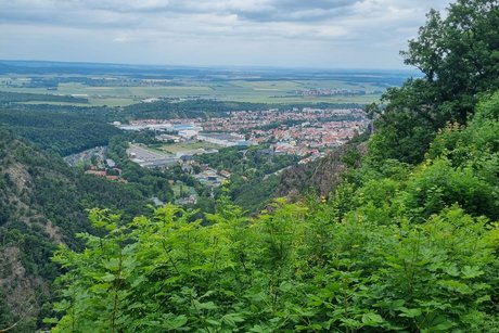 Blick vom Hexenberg