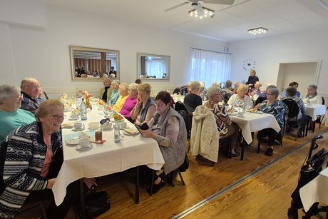 Programm-Vorstellung 2026