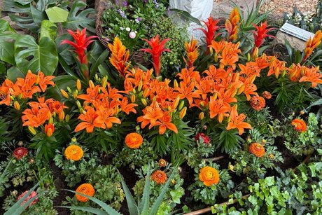 Fr&uuml;hlingsbl&uuml;her