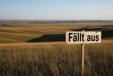 Eine steppenartige Landschaft mit hohem, trockenem Gras. Einige Hügel sind zu sehen, keine Bäume. Im Vordergrund steht ein Holzschild auf dem "Fällt aus" steht.