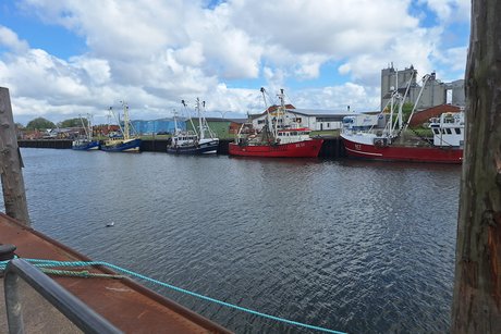 Büsum Blick auf den Hafen