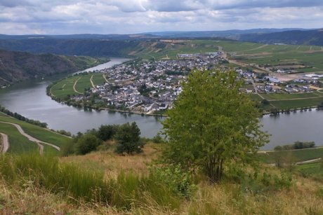 Urlaub an der Mosel