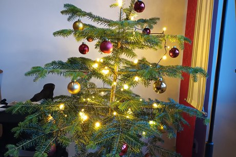 Der Ortsverband Loy-Wahnbek w&uuml;nscht frohe Weihnachten.