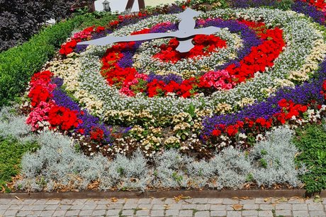 Eine große Uhr mit Blumen bepflanzt