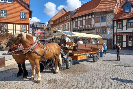 Die Pferdekutsche für den Ausflug