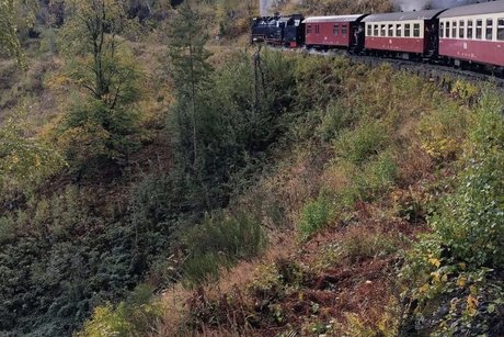 Urlaub im Harz 2026