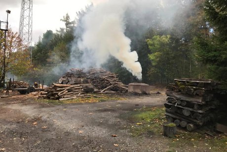 Urlaub im Harz 2026