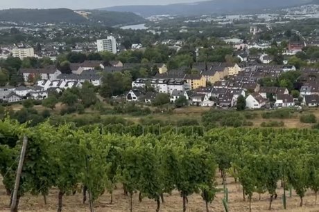 Urlaub an der Mosel