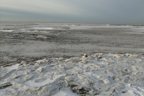 Winter in Sahlenburg