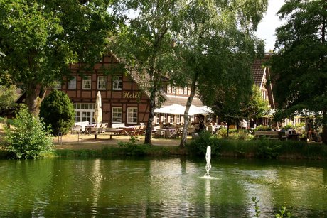 Teich
