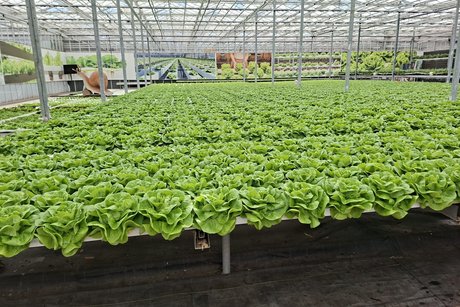 Emspflower Besichtigung