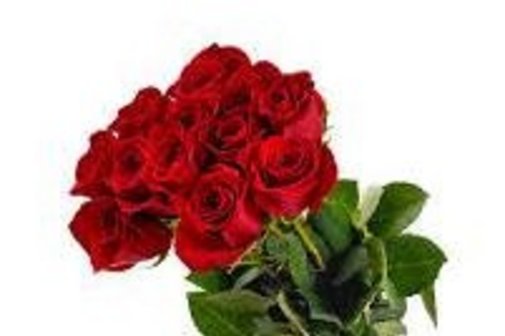 Einen Rosenstrauß zum Geburtstag Rosenstrauß
