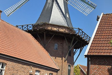 Mühle in Ditzum
