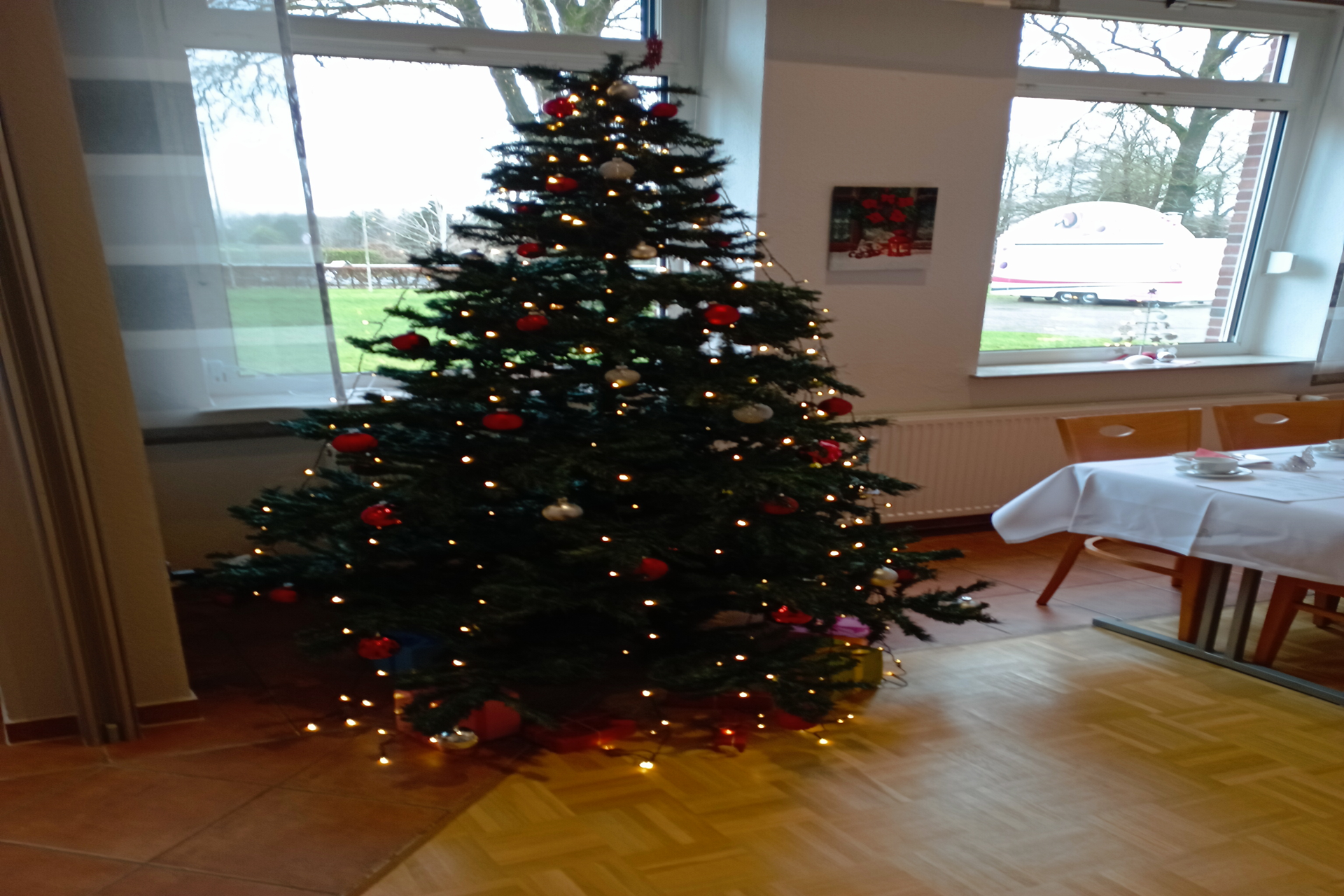 Weihnachtsbaum