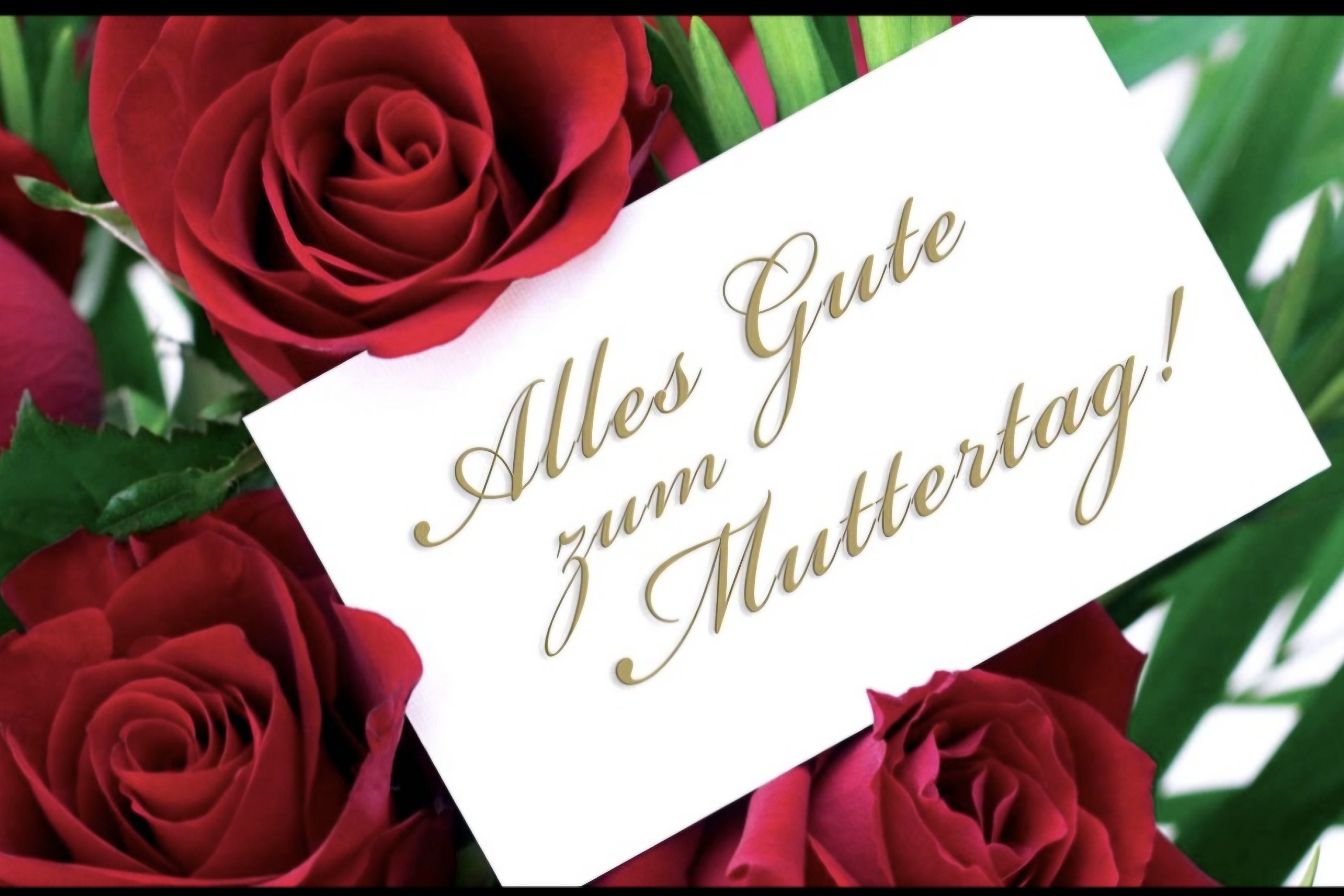 Muttertag Muttertag